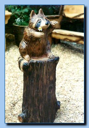 1-42 raccoon